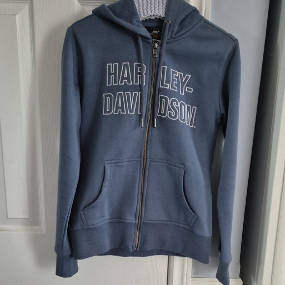 Harley-Davidson Blue Relaxed Fit Hoodie - Picture 3 of 8